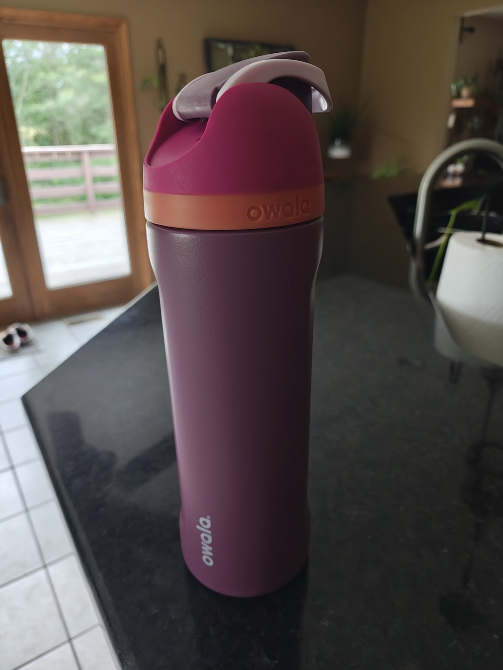 Owala Women’s Insulated Water Bottle - Plum/Pink